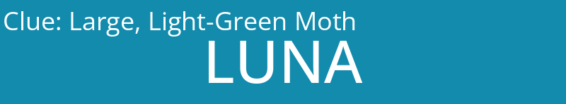 Large, Light-Green Moth