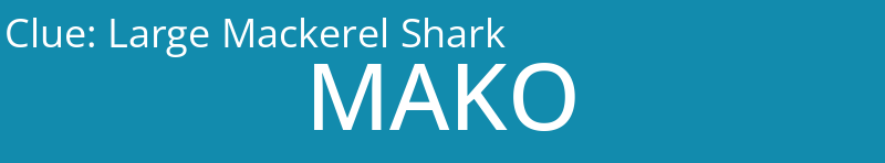 Large Mackerel Shark