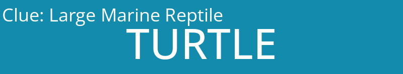 Large Marine Reptile