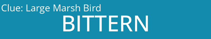 Large Marsh Bird