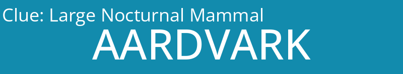 Large Nocturnal Mammal