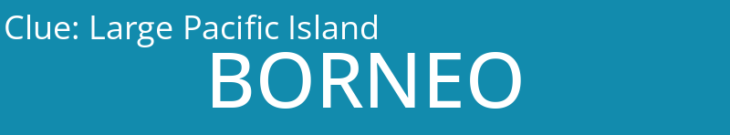 Large Pacific Island