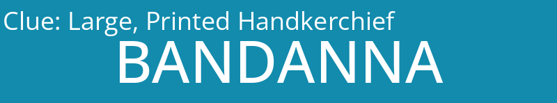Large, Printed Handkerchief