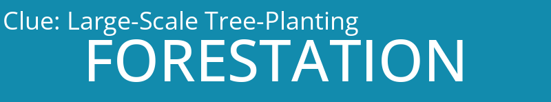 Large-Scale Tree-Planting