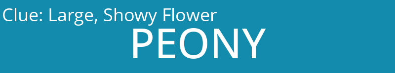 Large, Showy Flower