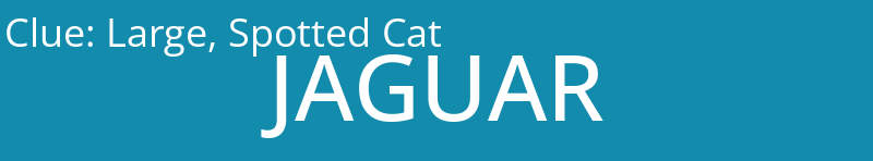 Large, Spotted Cat