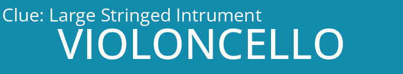 Large Stringed Intrument