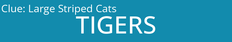 Large Striped Cats