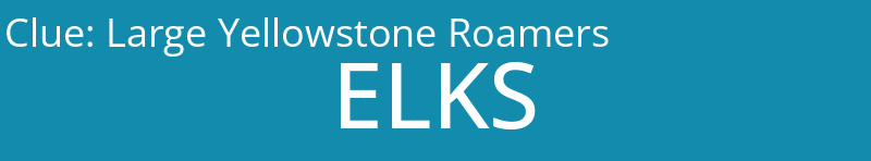 Large Yellowstone Roamers