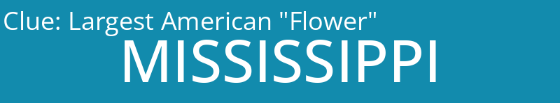 Largest American "Flower"