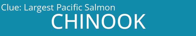 Largest Pacific Salmon