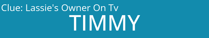 Lassie's Owner On Tv