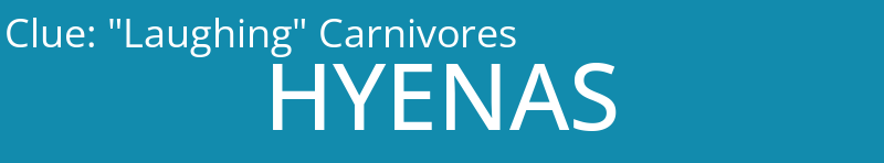 "Laughing" Carnivores