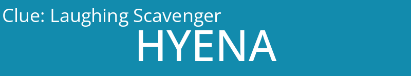 Laughing Scavenger