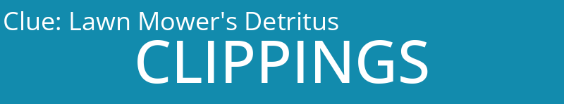 Lawn Mower's Detritus