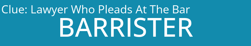 Lawyer Who Pleads At The Bar