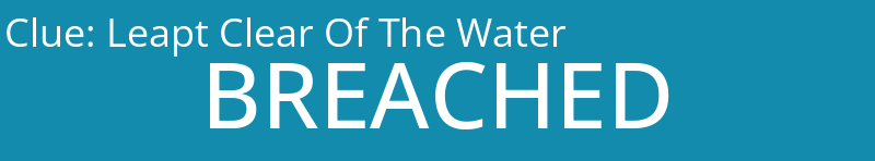 Leapt Clear Of The Water