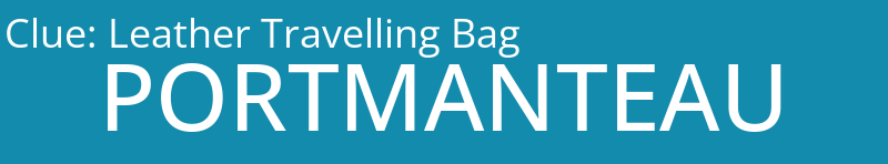 Leather Travelling Bag