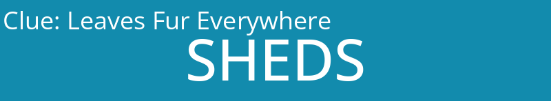 Leaves Fur Everywhere