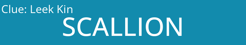 Leek Kin