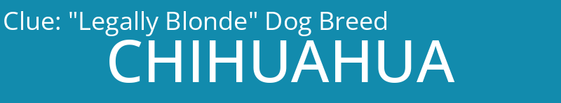 "Legally Blonde" Dog Breed