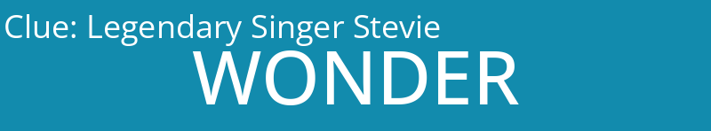 Legendary Singer Stevie