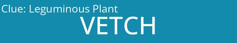 Leguminous Plant