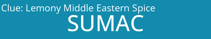 Lemony Middle Eastern Spice