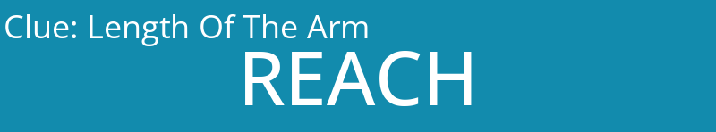 Length Of The Arm
