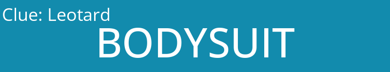 Leotard