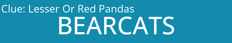 Lesser Or Red Pandas