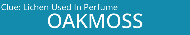 Lichen Used In Perfume