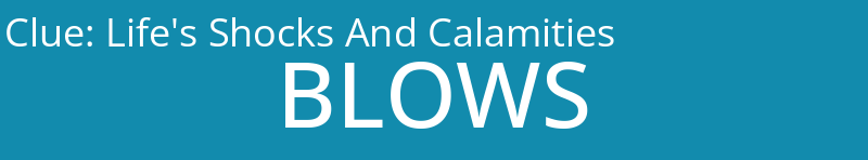 Life's Shocks And Calamities