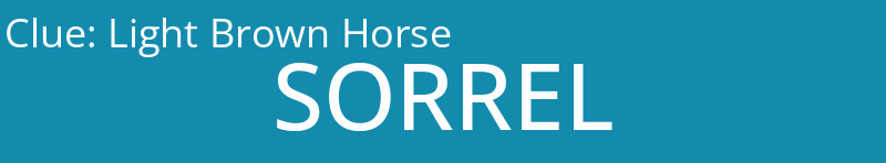 Light Brown Horse