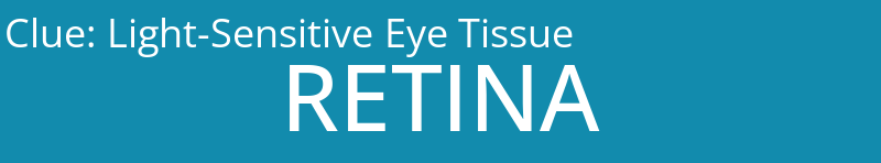 Light-Sensitive Eye Tissue