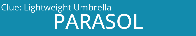 Lightweight Umbrella