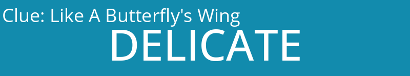 Like A Butterfly's Wing
