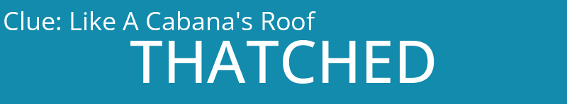 Like A Cabana's Roof