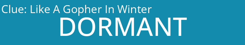 Like A Gopher In Winter