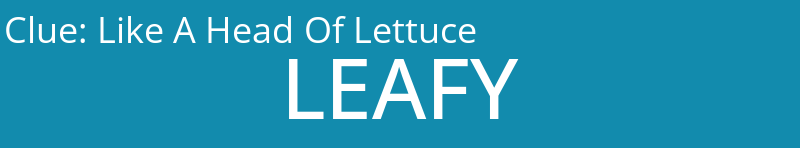 Like A Head Of Lettuce
