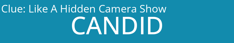 Like A Hidden Camera Show