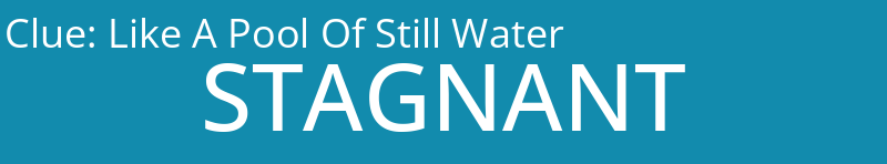 Like A Pool Of Still Water