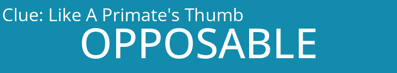 Like A Primate's Thumb