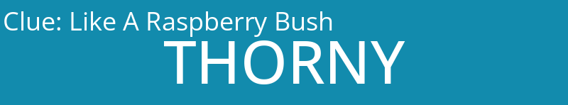 Like A Raspberry Bush