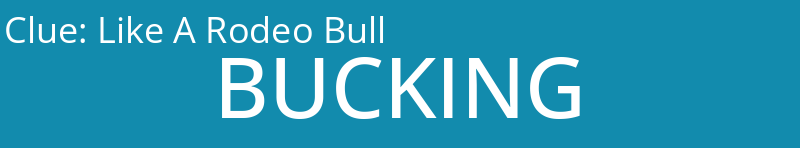 Like A Rodeo Bull