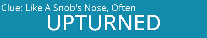 Like A Snob's Nose, Often