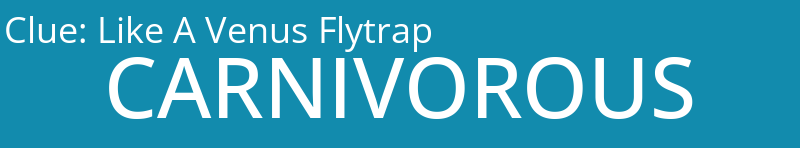 Like A Venus Flytrap