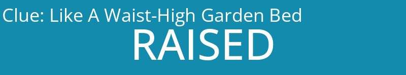 Like A Waist-High Garden Bed