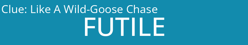 Like A Wild-Goose Chase