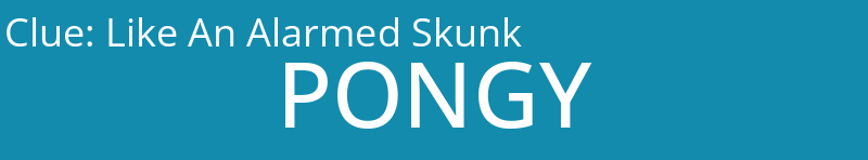 Like An Alarmed Skunk